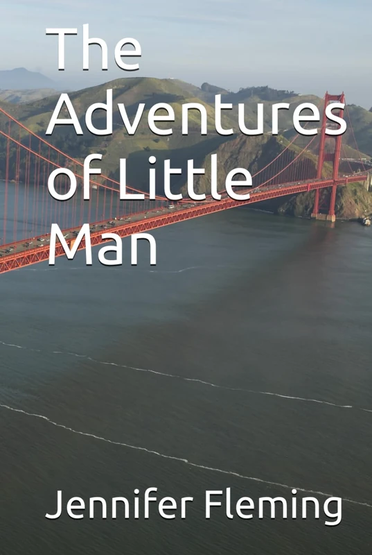 The Adventures of Little Man