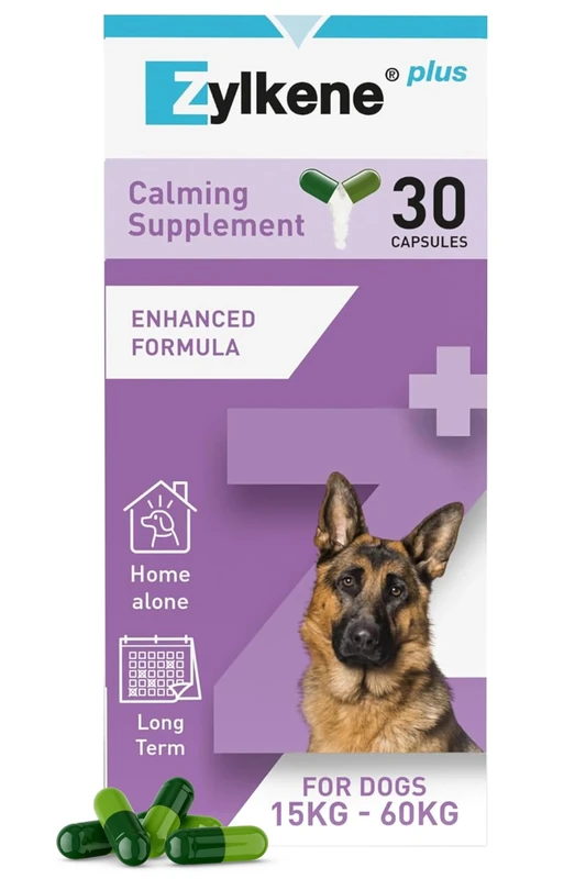 Zylkene Plus Calming Supplement for Large Dogs (30kg-60kg) 450mg | Promotes Relaxation in long-term challenging situations: New Baby, Home Alone, Moving house | Easily administered | 30 capsules