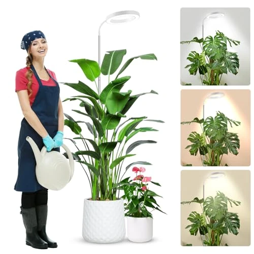 wolezek Halo Grow Light, 80 LEDs Grow Light Full Spectrum, 360° Gooseneck, 6/12/16H Timer, 5 Brightness, Height Adjustable (Grey)