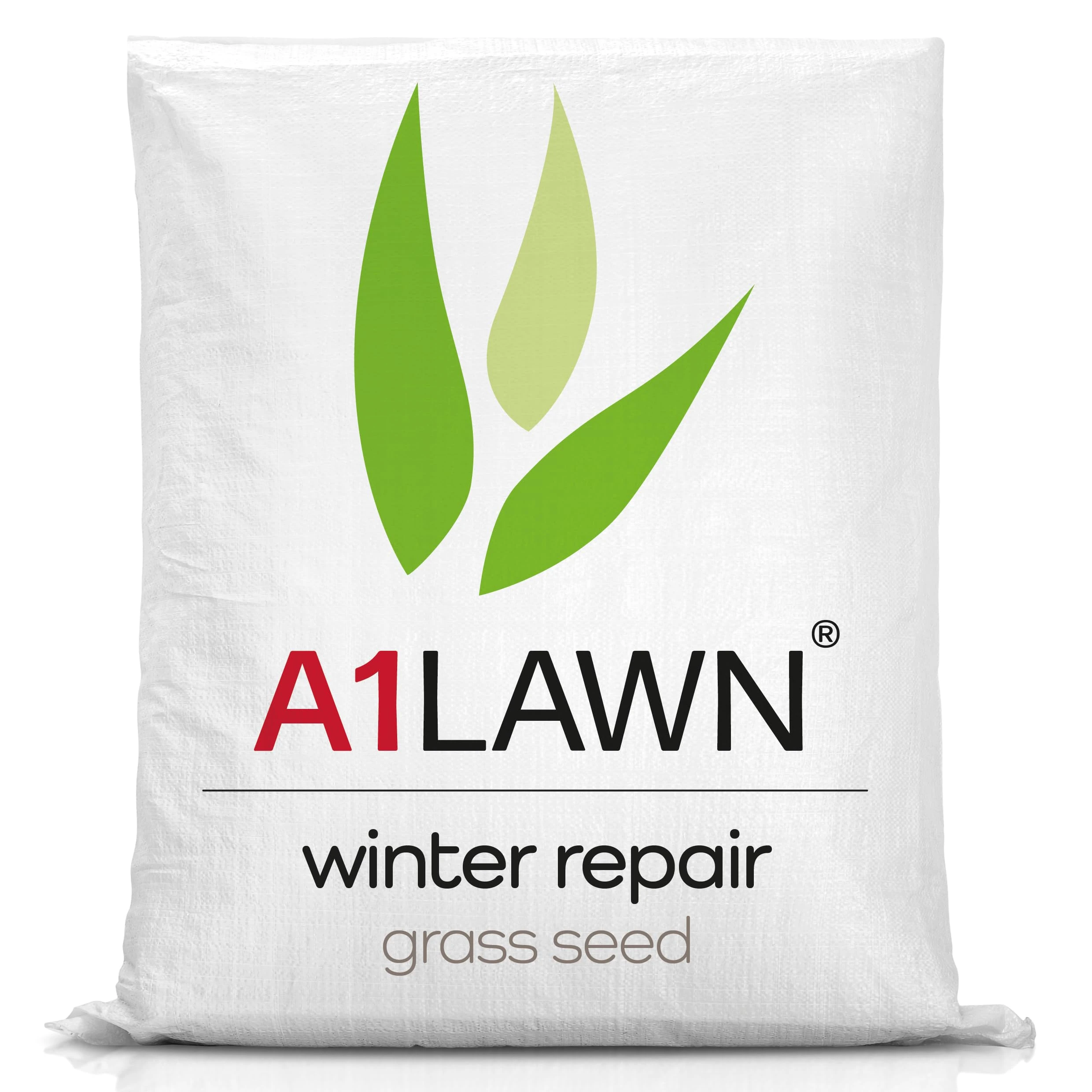 A1 Lawn – Winter Repair Grass Seed, A1 Lawn Grass Seed for Repairing Grass Over Winter – Winter Patch Repair Seed, (AMPRO10)