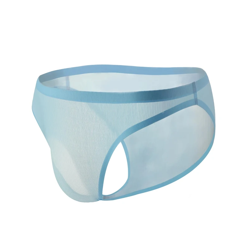 Drelaar Men's Smooth Low Rise Tagless Sexy Pouch Comfort Underwear Briefs Large Blue