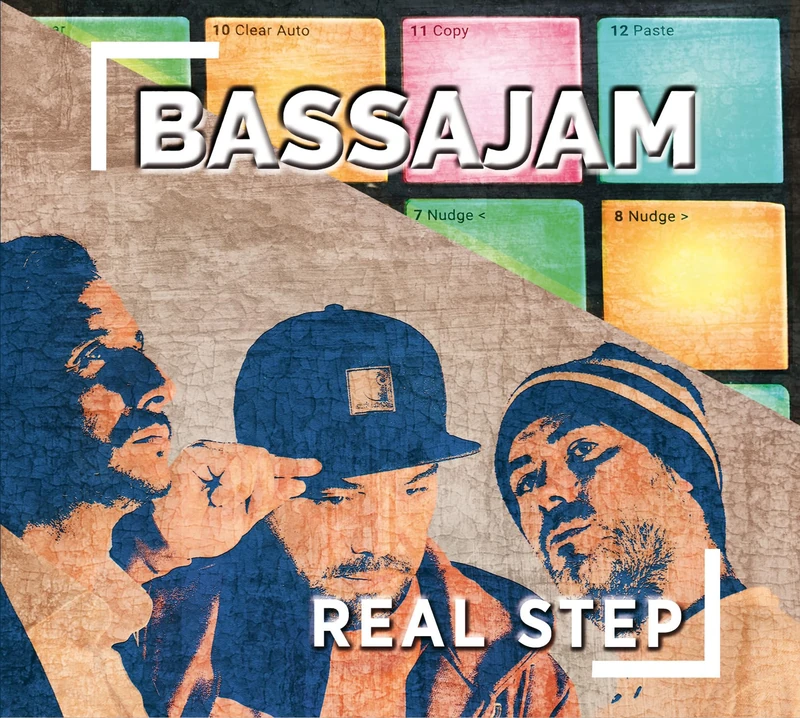 Real Step [VINYL]