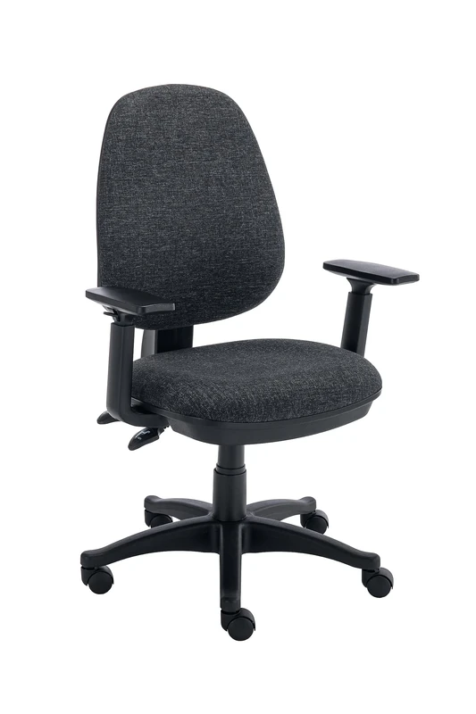 Office Hippo Desk Chair With Adjustable Arms, With Adjustable Curved Back, Executive Swivel, Desk Chair, Suitable For Home Office, Charcoal, 65 x 65 x 93 to 109 cm