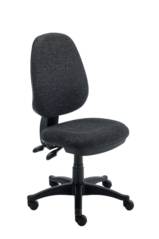 Office Hippo Desk Chair Without Arms, With Adjustable Curved Back, Executive Swivel, Desk Chair, Suitable For Home Office, Charcoal, 64 x 64 x 93 to 109 cm