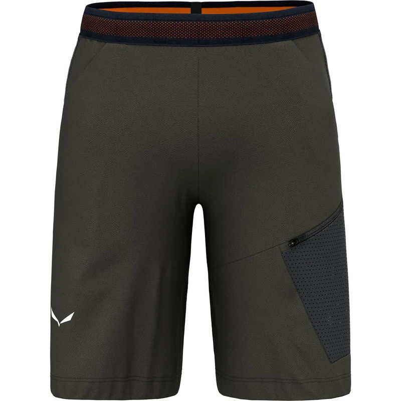 SALEWA Pedroc 2 DST Men's Cargo Shorts M Multicoloured