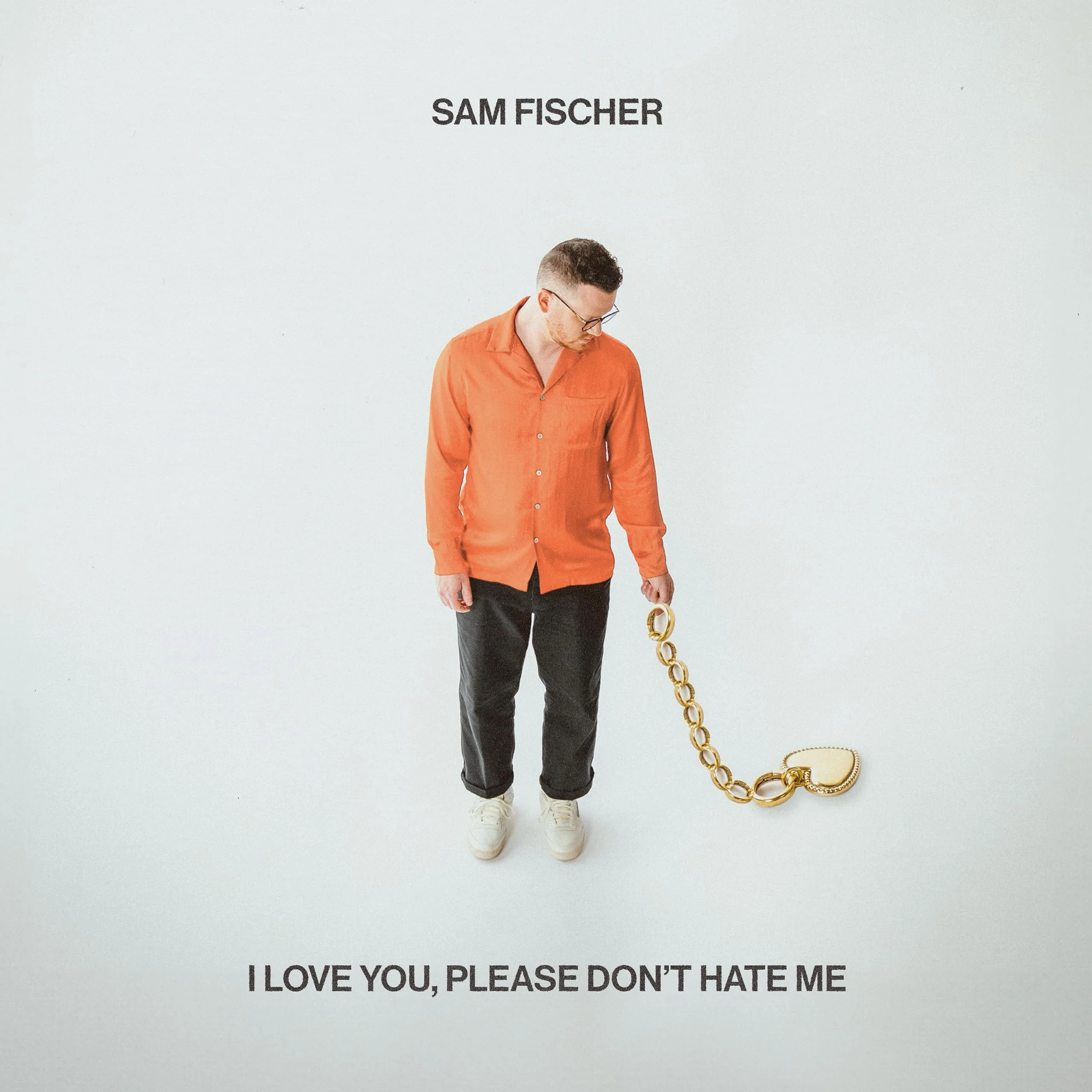 I Love You, Please Don't Hate Me [VINYL]