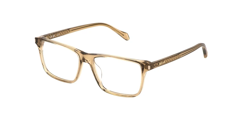 Just Cavalli VJC050 0913 BEIGE TRASPARENTE LUCIDO 56/16/145 MAN Eyewear Frame