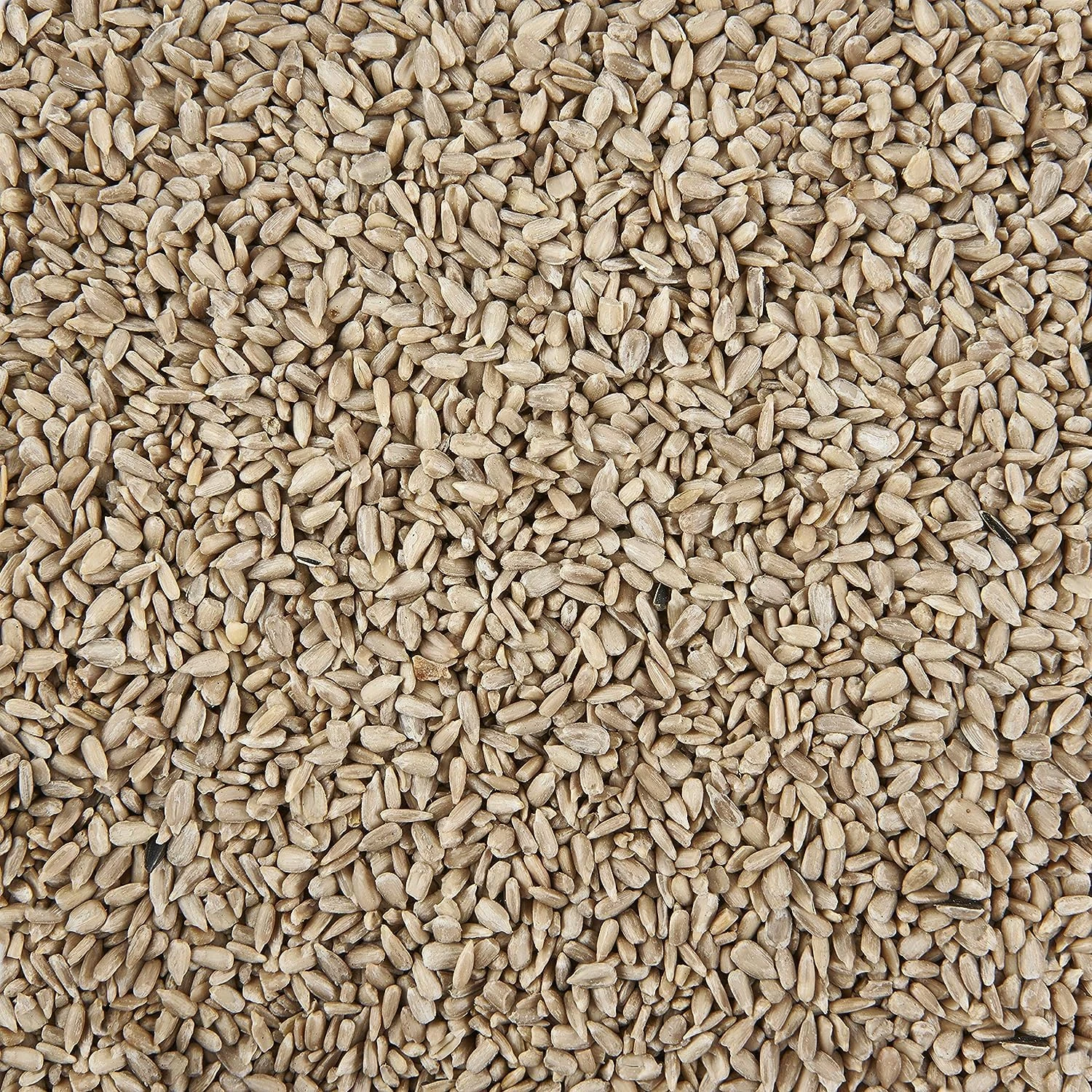 Garden Ting Sunflower Hearts 5L Refill