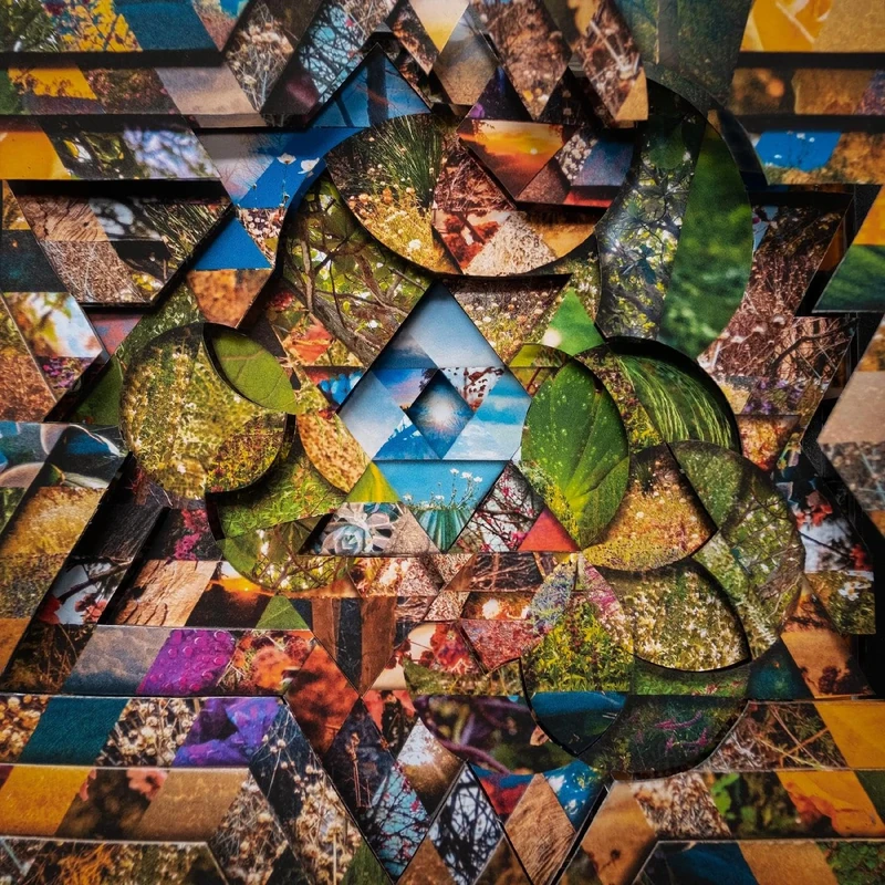 Les Jardins Mystiques Vol.1 [VINYL]