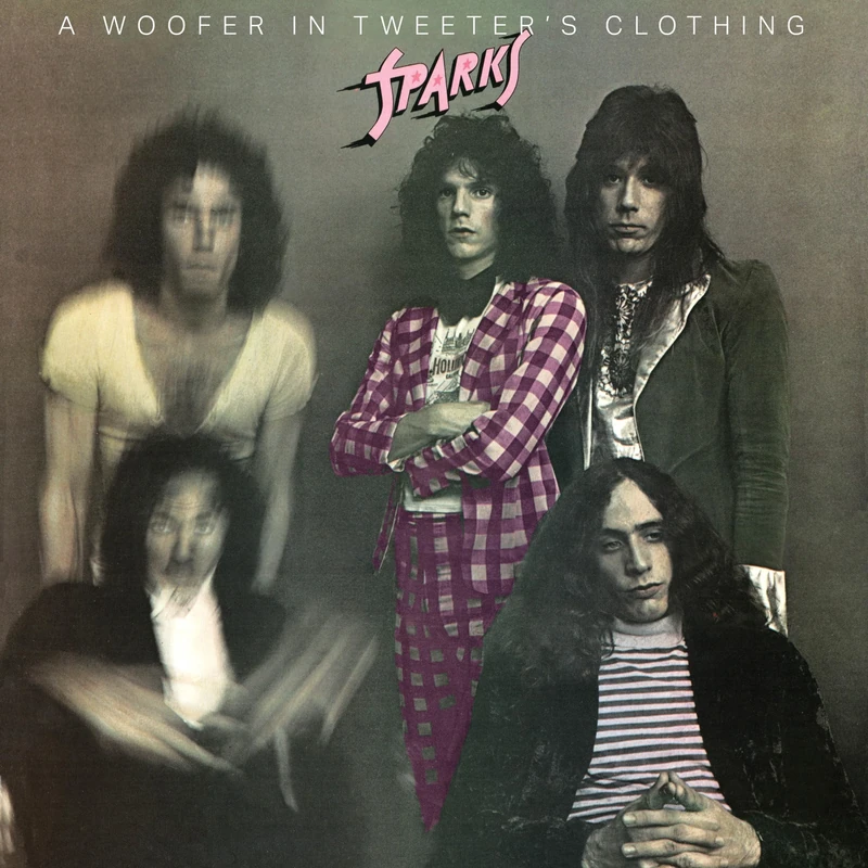 Woofer In Tweeter's Clothing [VINYL]