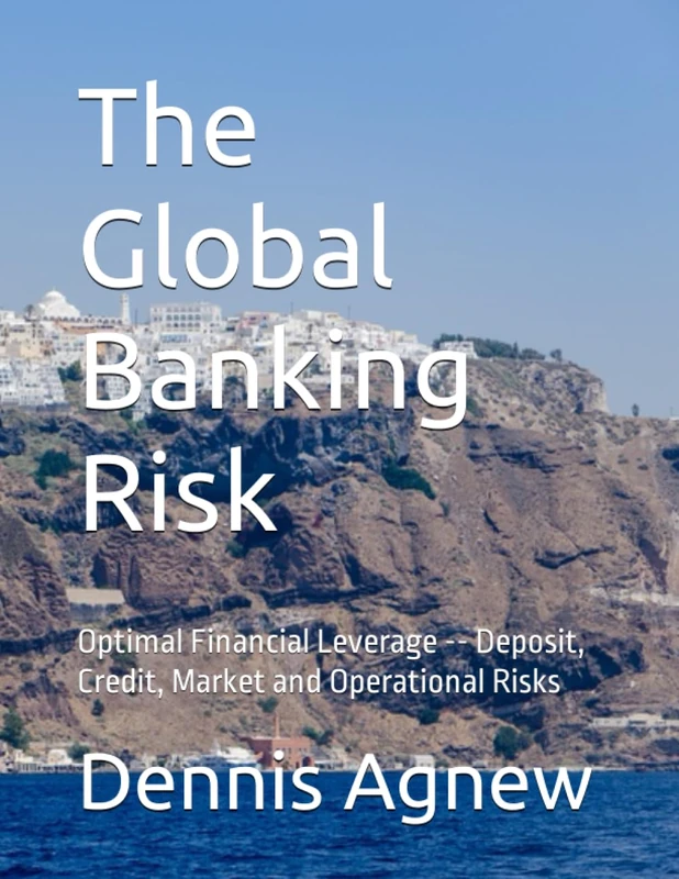 Global Banking Risk: Optimal Financial Leverage Book