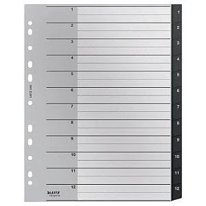 School Equipment Brand LEITZ Model CF10RECYCLE Indice 1-12 - F.to A4