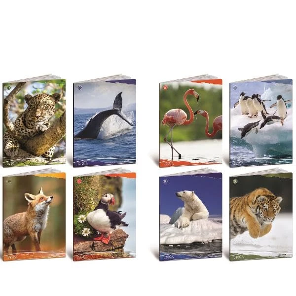 School Equipment Brand BLASETTI Model CF10 QUADERNO ANIMALI 100G A4 10M