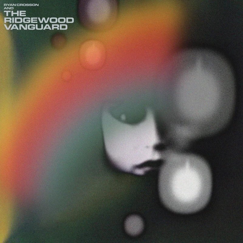 WE CAN ONLY EVER BE AS WE ARE [VINYL]