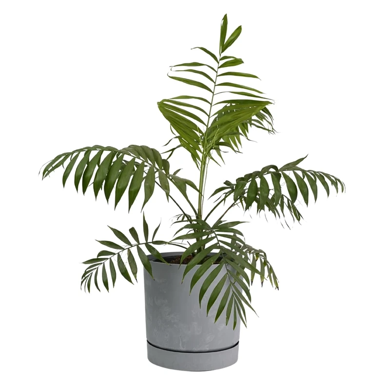 B2C Plant Pots Indoor Outdoor Plastic Marble Concrete Flowerpot Small Medium Large Tubo 5 Colours (35 cm, Concrete)