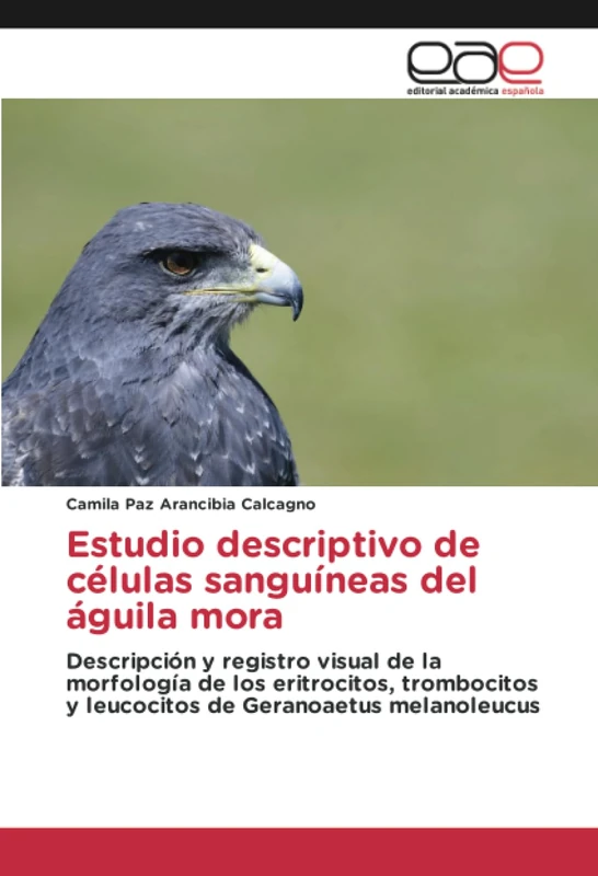 Estudio descriptivo de células sanguíneas del águila mora: Descripción y registro visual de la morfología de los eritrocitos, trombocitos y leucocitos de Geranoaetus melanoleucus - Image 1