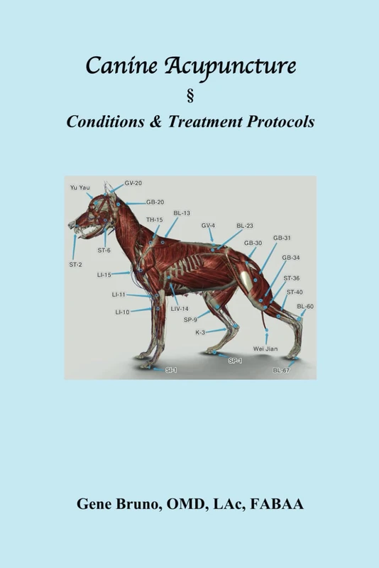 Canine Acupuncture: Conditions & Treatment Protocols