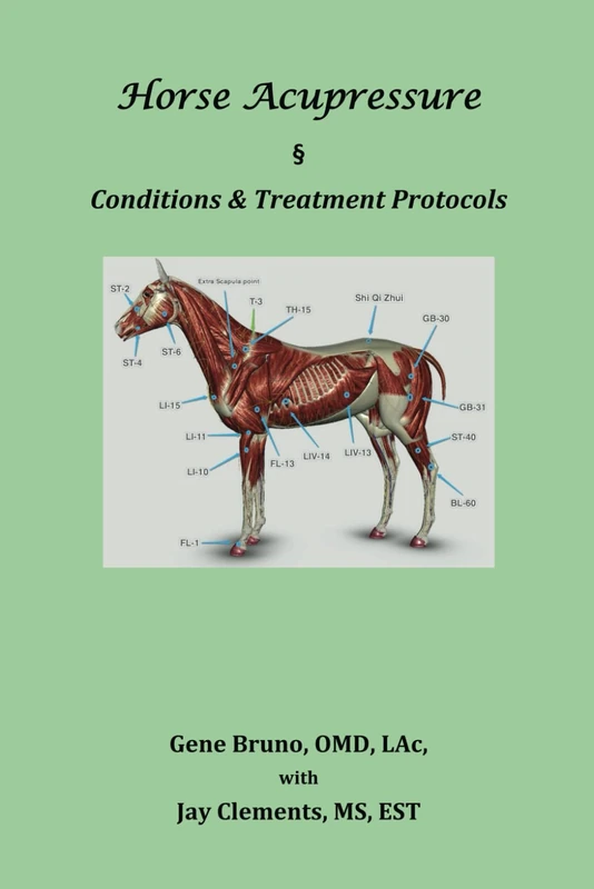 Horse Acupressure: Conditions & Treatment Protocols - Image 1