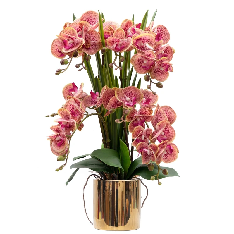 CXGS Artificial Orchid Flower Plants Real Touch Faux Orchids in Ceramic Vase 20.9'' Purple Dapple Phalaenopsis Orchid Fake Flower Arrangement Home Indoor Decor - Image 1
