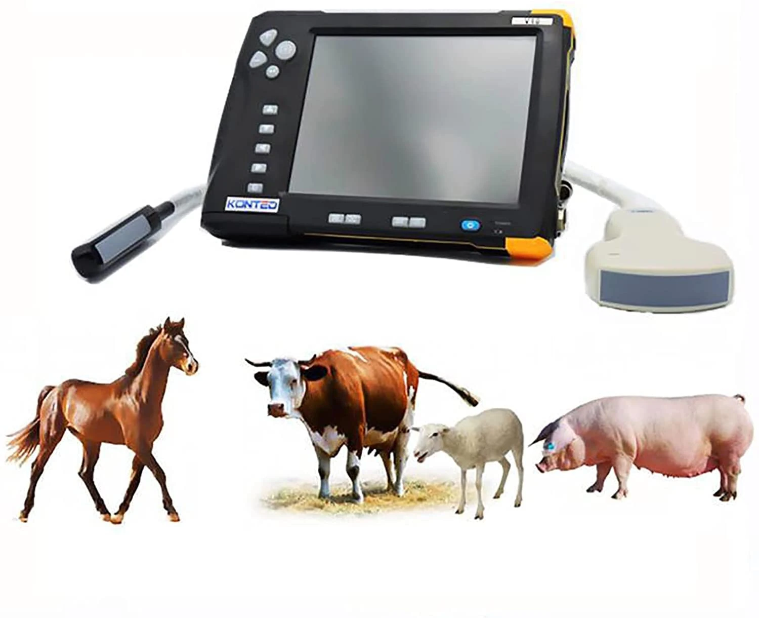 MOLVUS Portable Vet/Veterinary B-Ultrasound Scanner, Animal Ultrasound Pregnancy Tester with Tow Probes Convex and Rectal Probe for Pasture Farm. (CatsDogs) (CowsHorses)