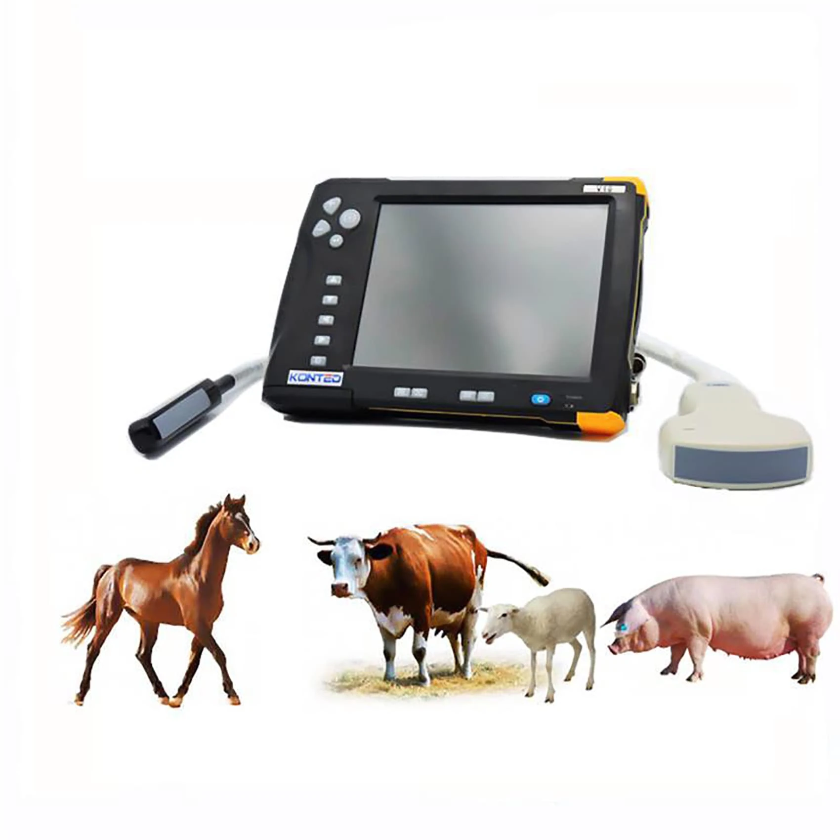 MOLVUS Portable Vet/Veterinary B-Ultrasound Scanner, Animal Ultrasound Pregnancy Tester with Tow Probes Convex and Rectal Probe for Pasture Farm. (CowsHorses)