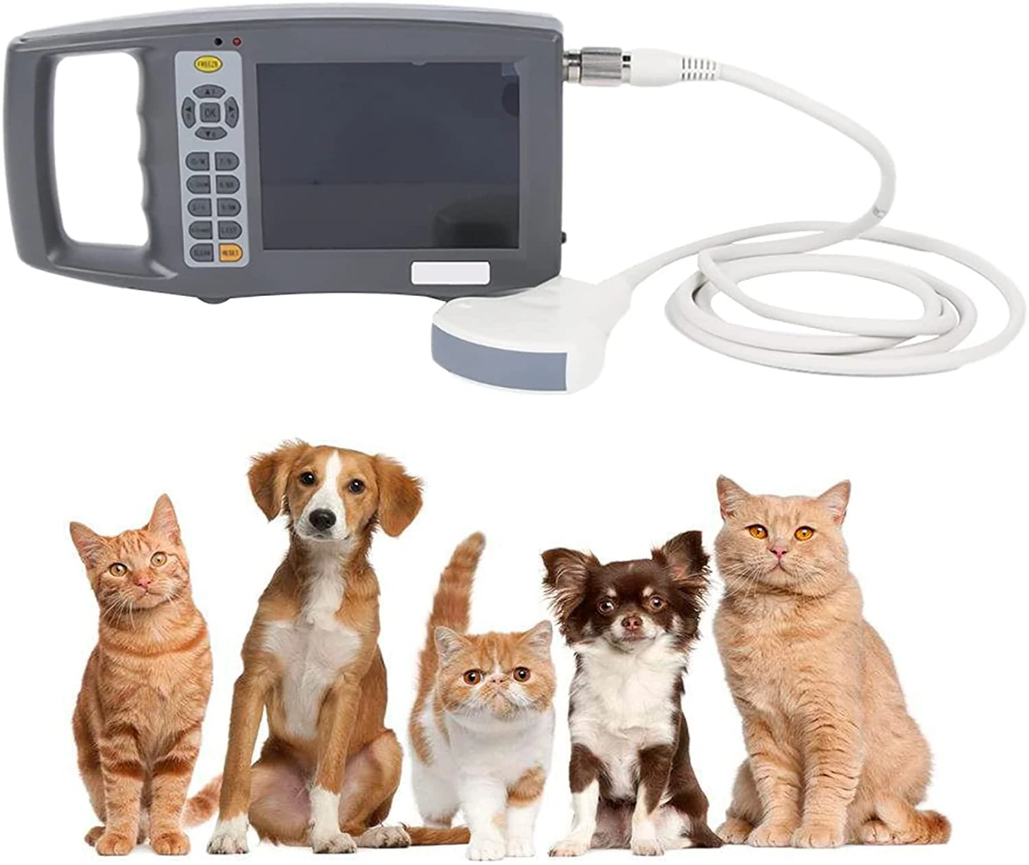 Veterinary Ultrasound Scanner Machine, Portable Ultrasound Scanner Veterinary Pregnancy, 7.5 Mhz Line Array Probe For Dog And Cat