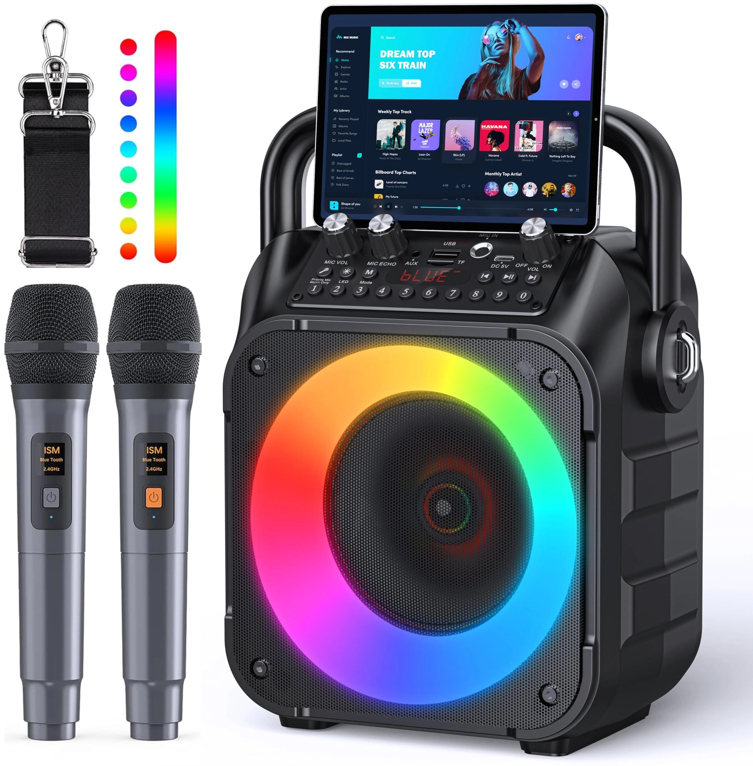 Karaoke Machine with Two Wireless Microphones, Portable Karaoke Machine for Adults & Kids, Portable Bluetooth Speaker with PA System, LED Lights, Supports TF Card/USB, AUX in, FM, USB,TWS (Black)