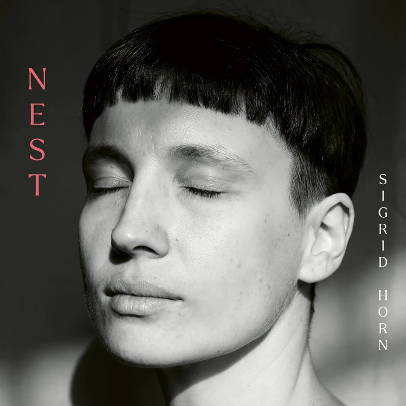 Nest - Image 1