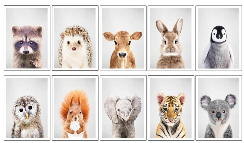 DKORARTE Set of 10 Wooden Base Paintings, Living Room Decoration, Modern, Bedroom, Bedroom, Children's Room, Drawings, Animals, Plush with Metal Hangers, (38 x 29 cm Each Picture)