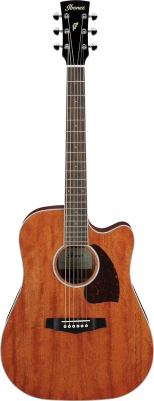 Ibanez PF16MWCE-OPN Open Pore Natural - Acoustic Guitar