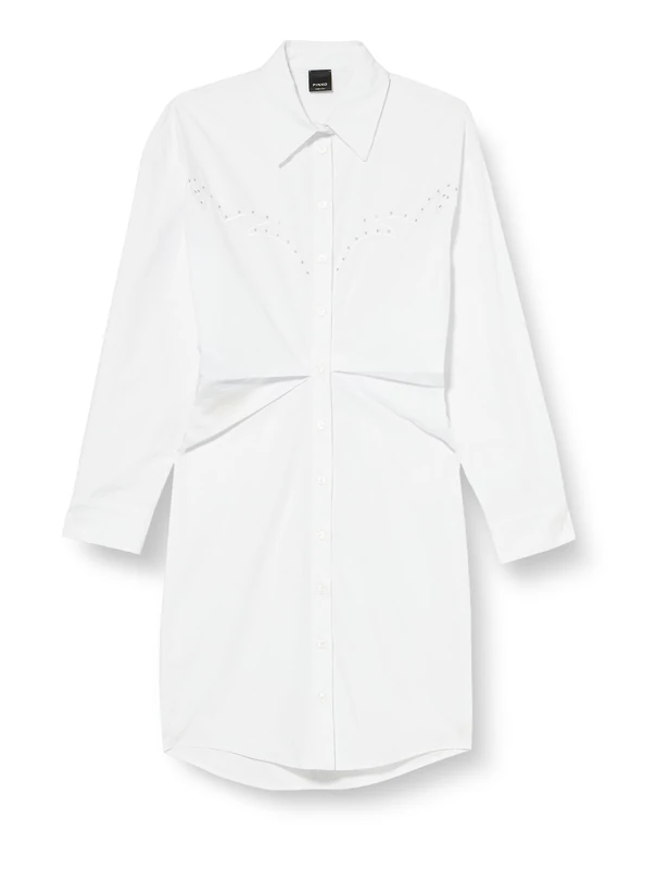 Pinko Women's Actors Embroidered Poplin Dress Casual, Z04_White Brill, 8