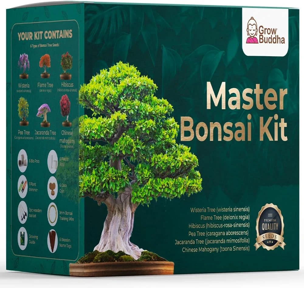 Master Bonsai Kit - Grow Buddha Bonsai Tree Growing Kit - Professional Growing and Styling Bonsai Set - Japanese Bonsai - Become Bonsai Master - Ideal Bonsai Tree Seed Kit for Indoor Garden Gardening