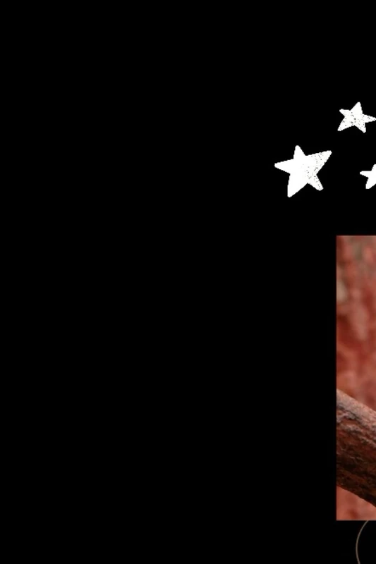 Journal - Children's Literature and Fiction Classics