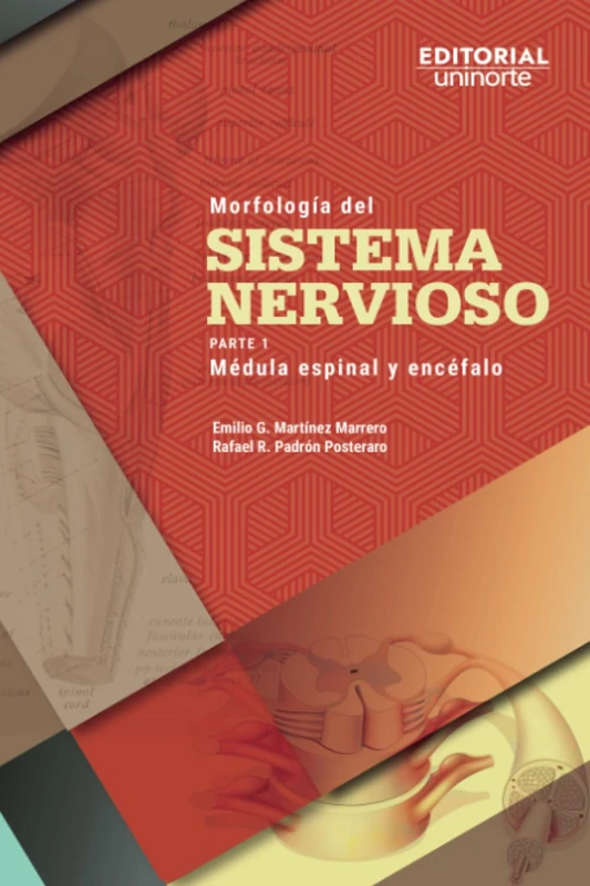 Morfología del sistema nervioso: Parte 1: médula espinal y encéfalo