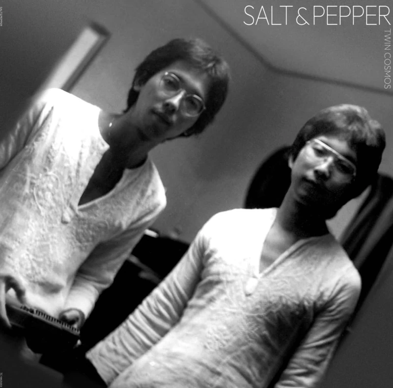 Salt & Pepper [VINYL]