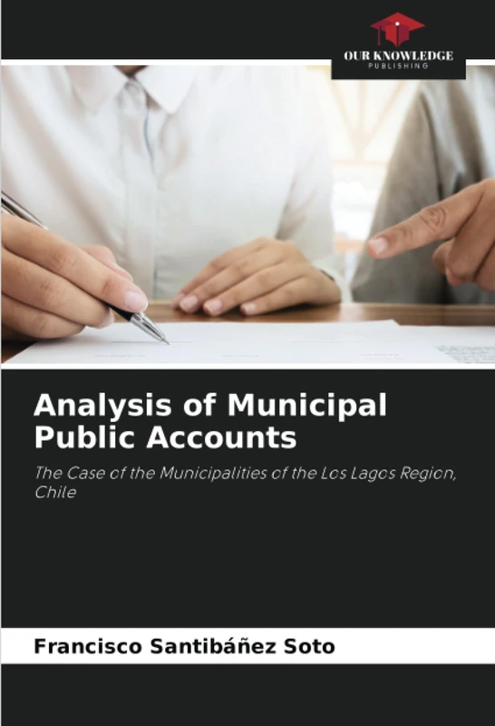 Analysis of Municipal Public Accounts: The Case of the Municipalities of the Los Lagos Region, Chile - Image 1