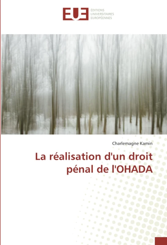 La réalisation d'un droit pénal de l'OHADA