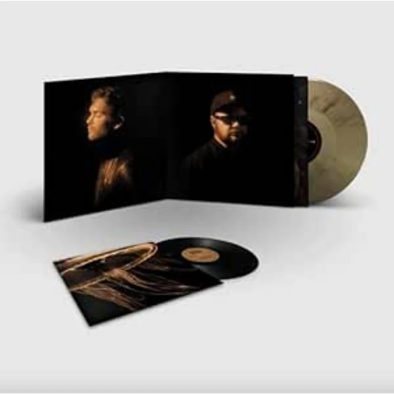 Back To The Water Below (Deluxe) [VINYL]