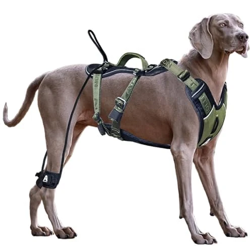 ANAFNI Easy Walk No Pull Dog Harness for Large Dogs, Heavy Duty Tactical Dog Harness with Handle, Easy Control and Training Better Leash Manners (Moss Green, Medium)