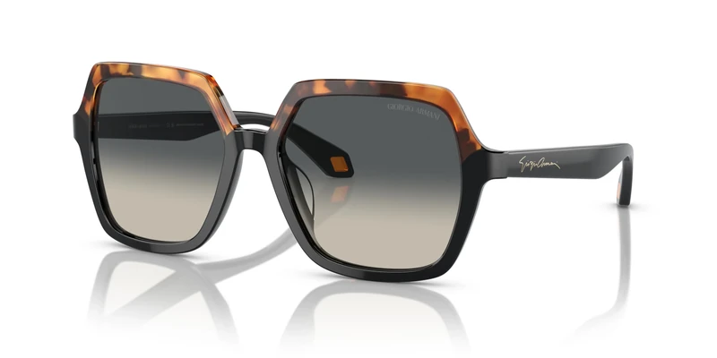 Giorgio Armani Women's 0AR8193U Sunglasses, Multicoloured (Multicoloured), One Size