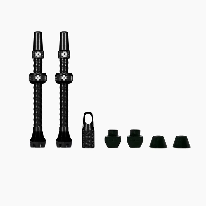 Tubeless Aluminium Valves (Pair) - 35mm - Removable Tray - Black