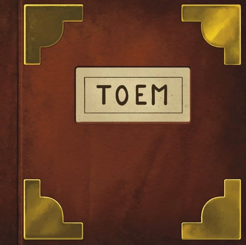 TOEM 2LP Black [VINYL]