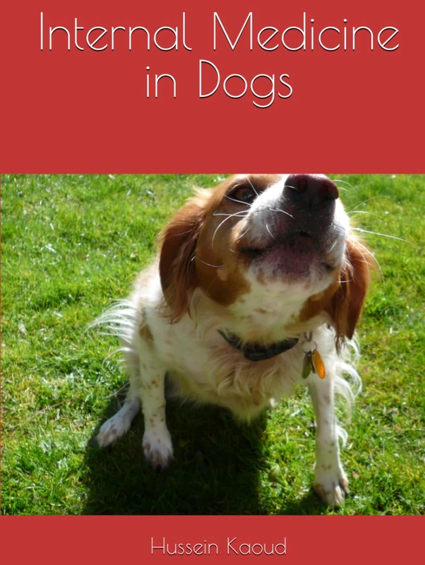 Internal Medicine in Dogs