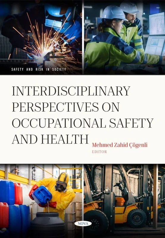 Interdisciplinary Perspectives on Occupational Safety and Health (Safety and Risk in Society Series)
