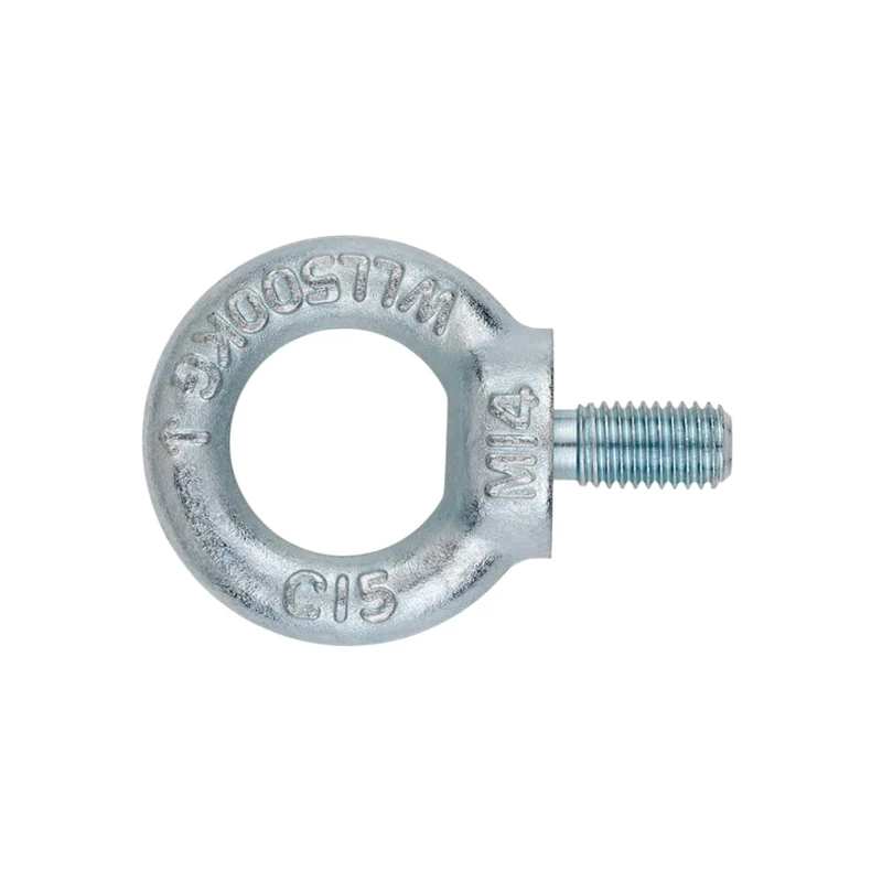INDEX A PERFECT FIXING - EVM06 [EV-M] Male eye bolt DIN 580, zinc-plated, Measure M6 (Ø20), Box of 100 units - Image 1