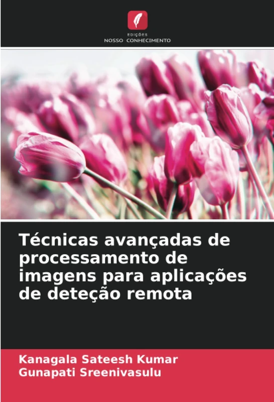 Técnicas avançadas de processamento de imagens para aplicações de deteção remota