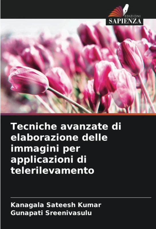 Tecniche avanzate di elaborazione delle immagini per applicazioni di telerilevamento