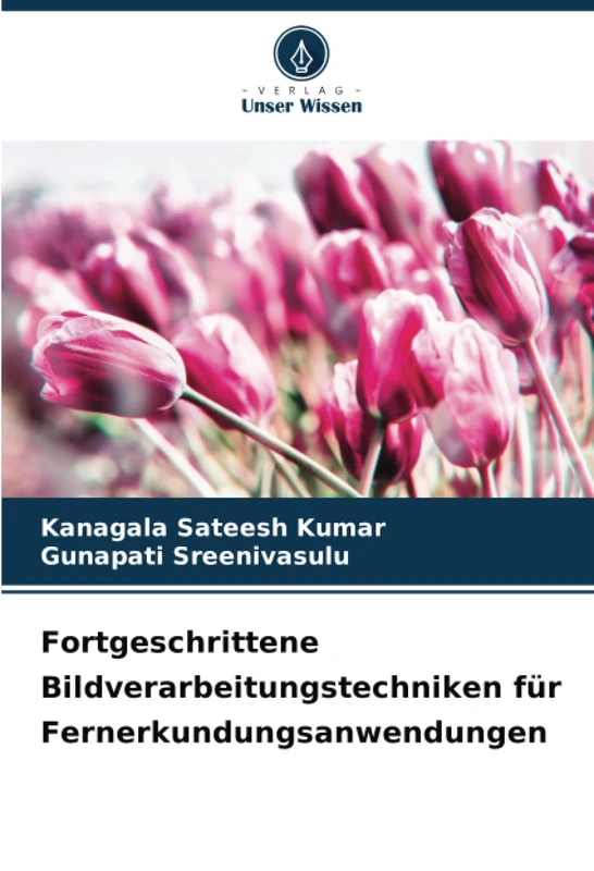 Fortgeschrittene Bildverarbeitungstechniken für Fernerkundungsanwendungen