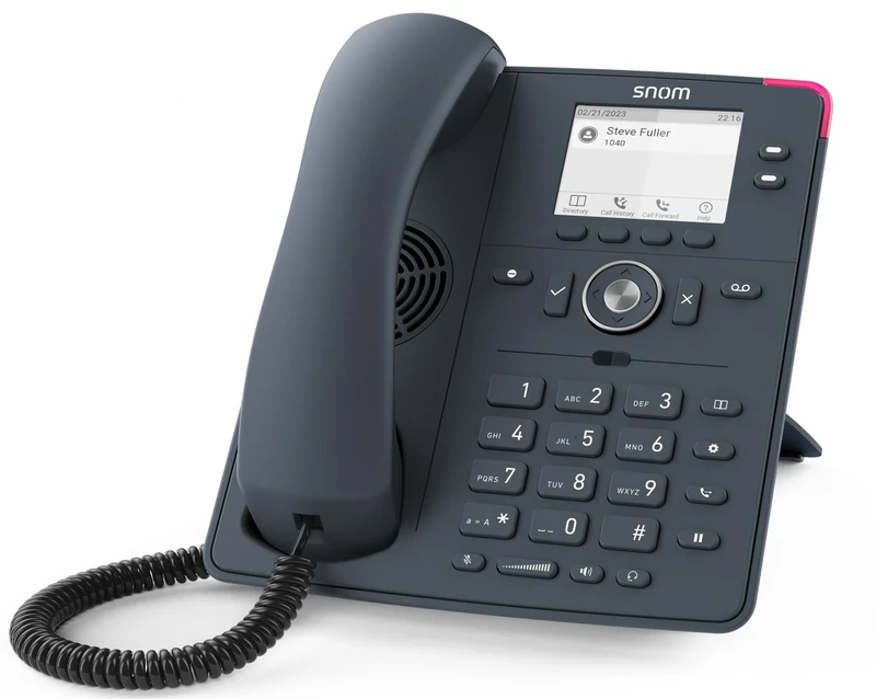 Snom D150 téléphone fixe Gris 2 lignes TFT