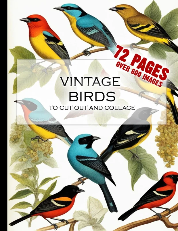 Vintage Birds To Cut Out And Collage: Junk Journal Images For Scrapbooks, Vintage Bird Illustrations Decoupage And Scrapbooking Activity Book